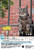 「岩合光昭の世界ネコ歩き」写真展　