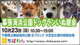 10月23日ちばわん『幕張海浜公園いぬ親会』開催のご案内