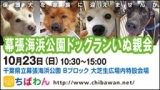 10月23日ちばわん『幕張海浜公園いぬ親会』開催のご案内