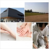 【参加費無料】リンパ・リンパ浮腫って何？メカニズムとケアの講座