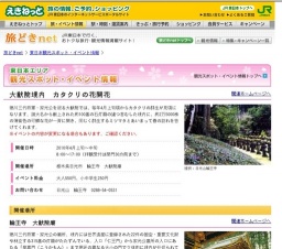 大猷院境内 カタクリの花開花