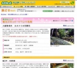 大猷院境内 カタクリの花開花