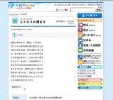 コスモスの種まき