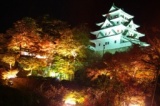 岐阜県　郡上八幡　八幡城園内特別ライトアップ