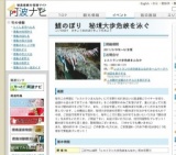 鯉のぼり 秘境大歩危峡を泳ぐ