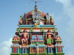 【30歳以上限定】インド占星術で運命の出会い!?合コン