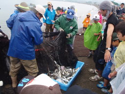 海の幸をまるかじり　～地引網で獲った魚を食べちゃおう！～