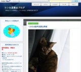 犬猫臨時里親会