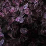 第38回東京都写真展｢東京の今｣