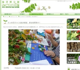 ランの花でつくる絵本教室