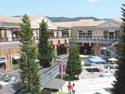 森林保全活動 「緑をつなぐ」プロジェクトで花の種を約1万名の方にプレゼント!!