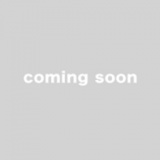 「KDDI au 促進キャンペーン」