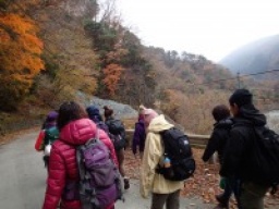 【週末アウトドア！ガイドさん同行♪　トレッキングツアー】　社会人サークルFEAD