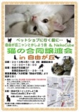 猫の譲渡会