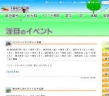 バンジートランポリン体験