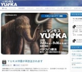 特別展 マンモス「YUKA（ユカ）」シベリアの永久凍土から現れた少女マンモス
