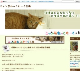 保護猫・夜の譲渡会