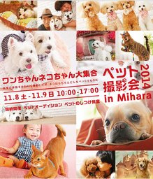 ワンちゃんネコちゃん大集合ペット撮影会2014inＭｉｈａｒａ | 出前スタジオ