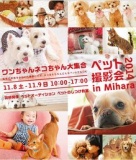ワンちゃんネコちゃん大集合ペット撮影会2014inＭｉｈａｒａ | 出前スタジオ