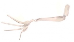 誰もが驚くフォーク曲げが学べる！マジック教室