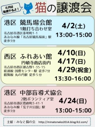 4月2日(土)猫の譲渡会 みなと猫の会
