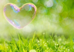 女性おひとりさま起業を叶えるための５ステップセミナー | Peatix