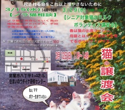 シニア向け子猫のミルクボランティア講習会