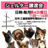 シェルター譲渡会