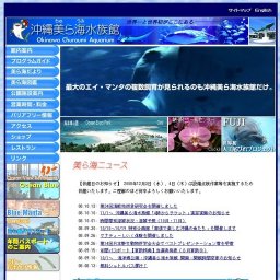 ウミガメ放流会参加者募集中 〜6/18必着！