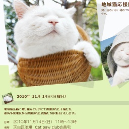 地域猫応援団「Catpawclｕb」猫譲渡会