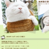 地域猫応援団「Catpawclｕb」猫譲渡会