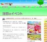 【公園の秋を彩る】コスモスまつり＆香りのばらまつり・秋 開催！