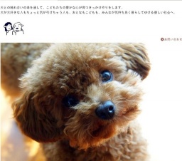 第2回　イヌとともだちになろう！プロジェクト