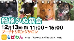 保護犬を家族に迎える譲渡会「ちばわん 船橋いぬ親会」