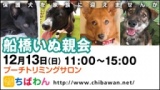 保護犬を家族に迎える譲渡会「ちばわん　船橋いぬ親会」