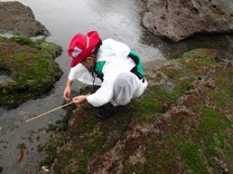 磯場でちょい釣り♪　見釣り