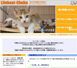 子猫との面会日および譲渡会