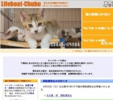 子猫との面会日および譲渡会