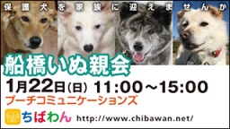 ちばわん『船橋いぬ親会】開催のご案内