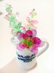 プラバンで多肉ちゃんを作ろう！ワークショップ