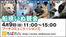 ちばわん『船橋いぬ親会】開催のご案内