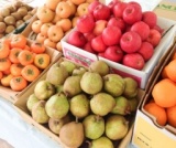 季節の果物詰め放題！ | ハウスクエア横浜