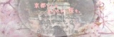 【4/15(日)開催】花らんまん春の京旅<疎水やましなプロムナード>京都でしか見られない桜を。桜...