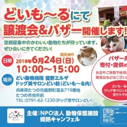 ワンニャン譲渡会＆バザー