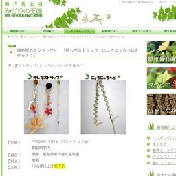 押し花ストラップ・にょろにょろヘビを作ろう！