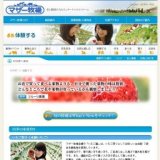 キウイフルーツ狩り