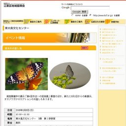 昆虫のお話し会