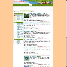 『ゆかい村』で元祖 烏賊様レース