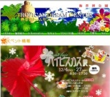 「ハイビスカス展」開催！