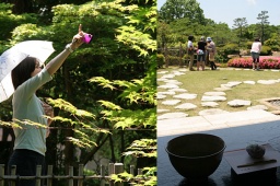 日本庭園と茶室でデジカメ撮影会